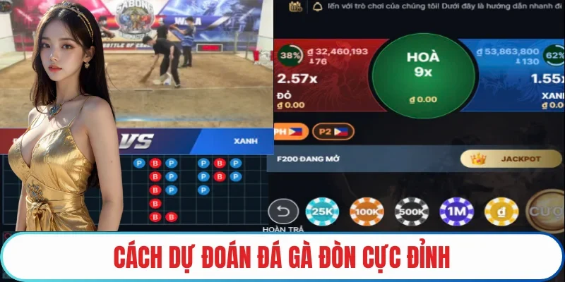 Cách dự đoán đá gà đòn cực đỉnh