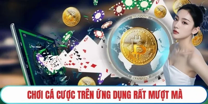 Chơi cá cược trên ứng dụng rất mượt mà