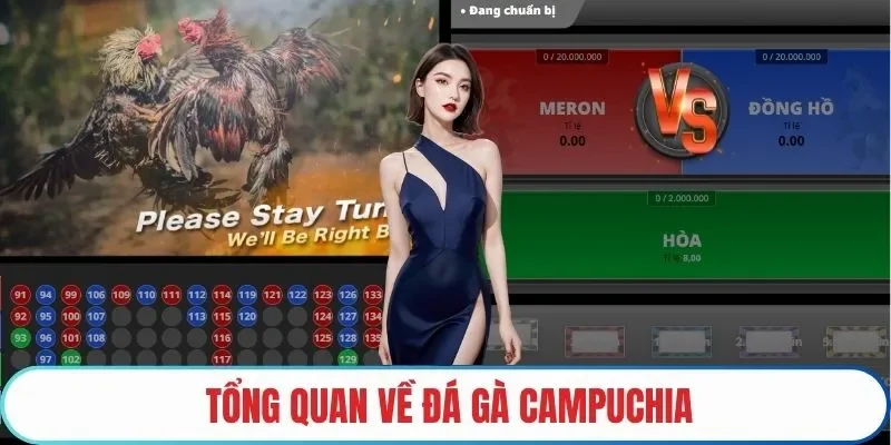Tổng quan về Đá gà Campuchia